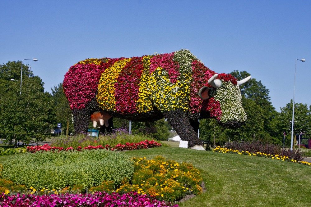 Flower bed "Flower Cow" in Ventspils, Latvia