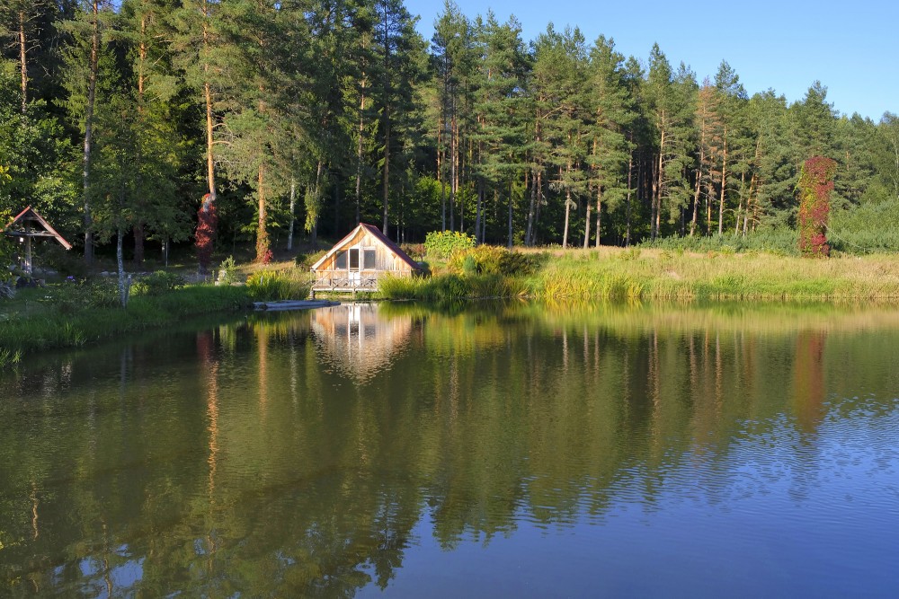 Grīviņu dzirnavu apkārtne Grīviņu dzirnavu apkārtne