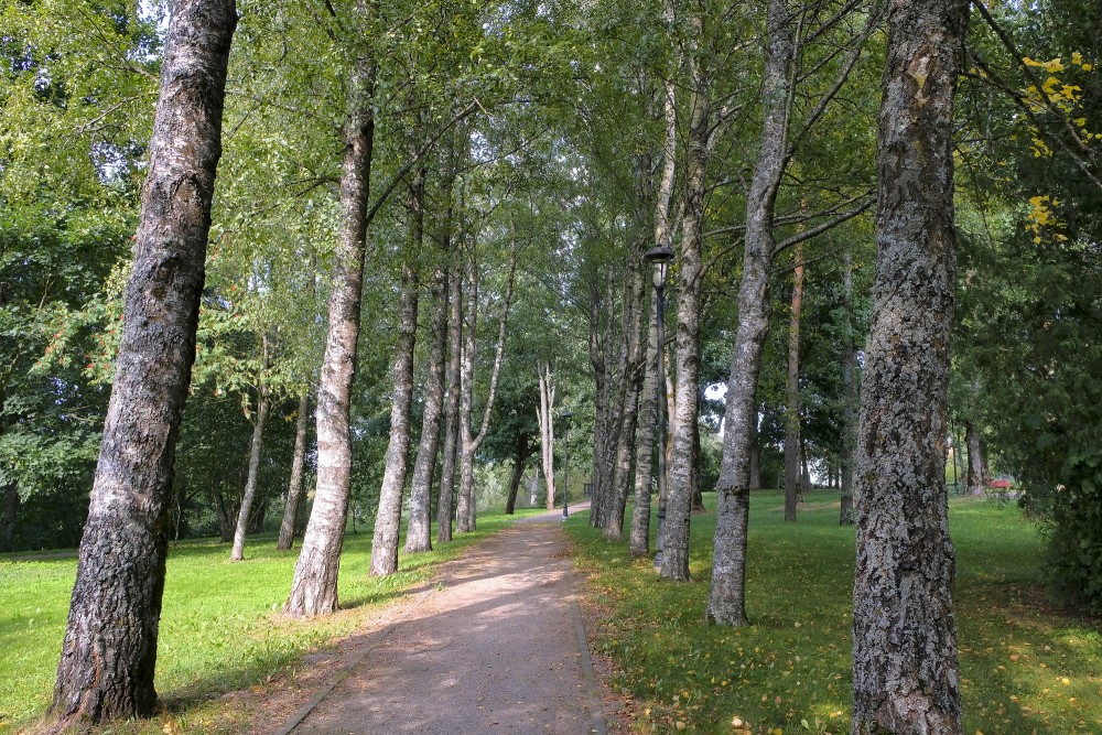 Tree-lined avenue with gravel path and park lamps in Salantai City Park
