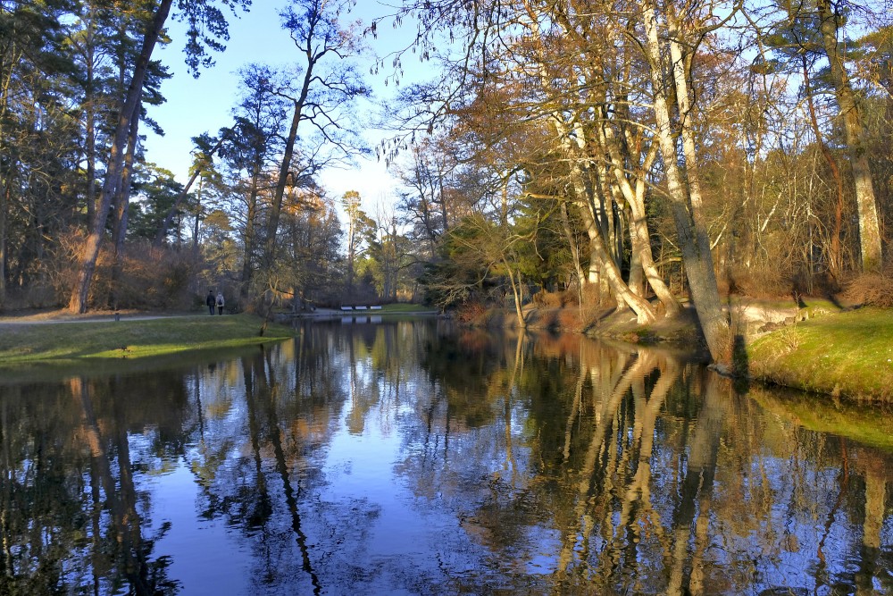 Birutė park canal with calm water and tree reflections in warm golden light