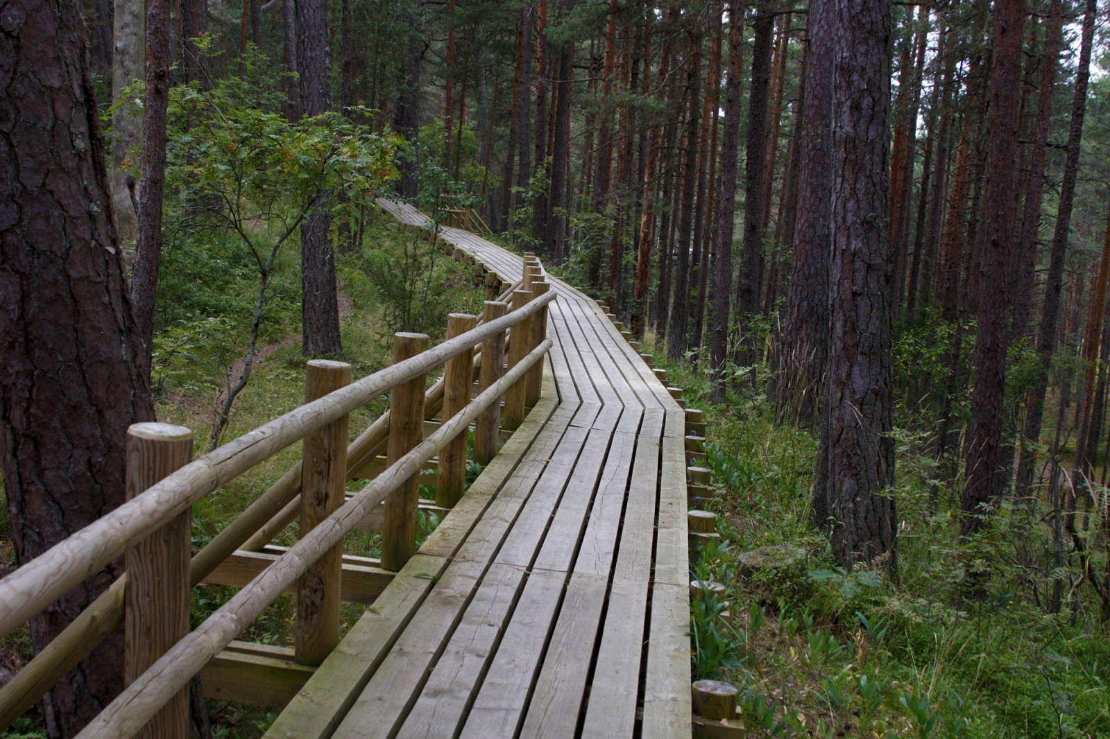 Ragakāpas dabas parks - redzet.lv